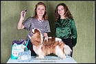 БРАЙТЛАЙТ ОФ МОСКОУ ДИДЖ 3 exc2 CC.jpg